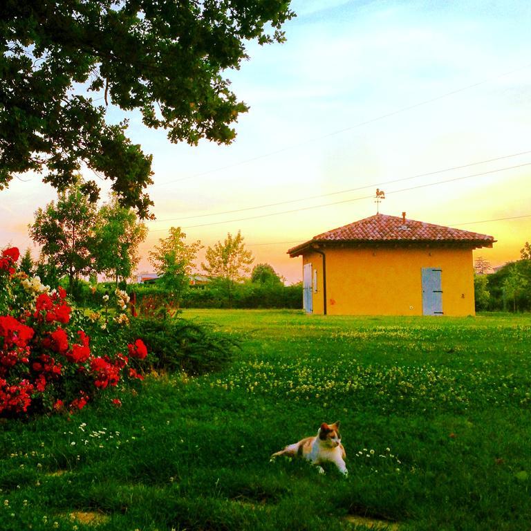 بودريو Vigorso 41 Country House المظهر الخارجي الصورة